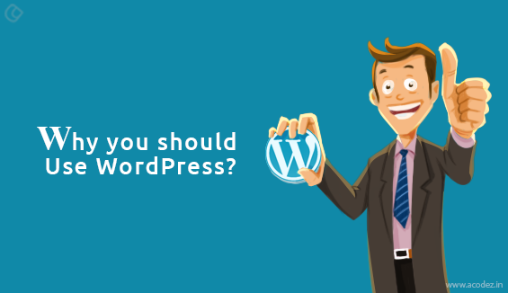 advantages of using wordpress for your website